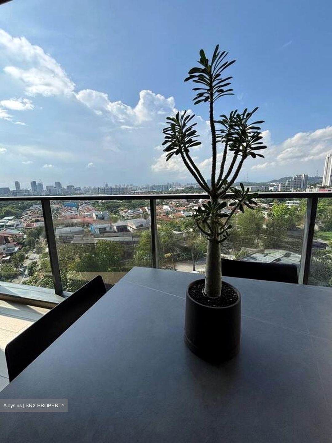 Parc Clematis (D5), Apartment #475030181